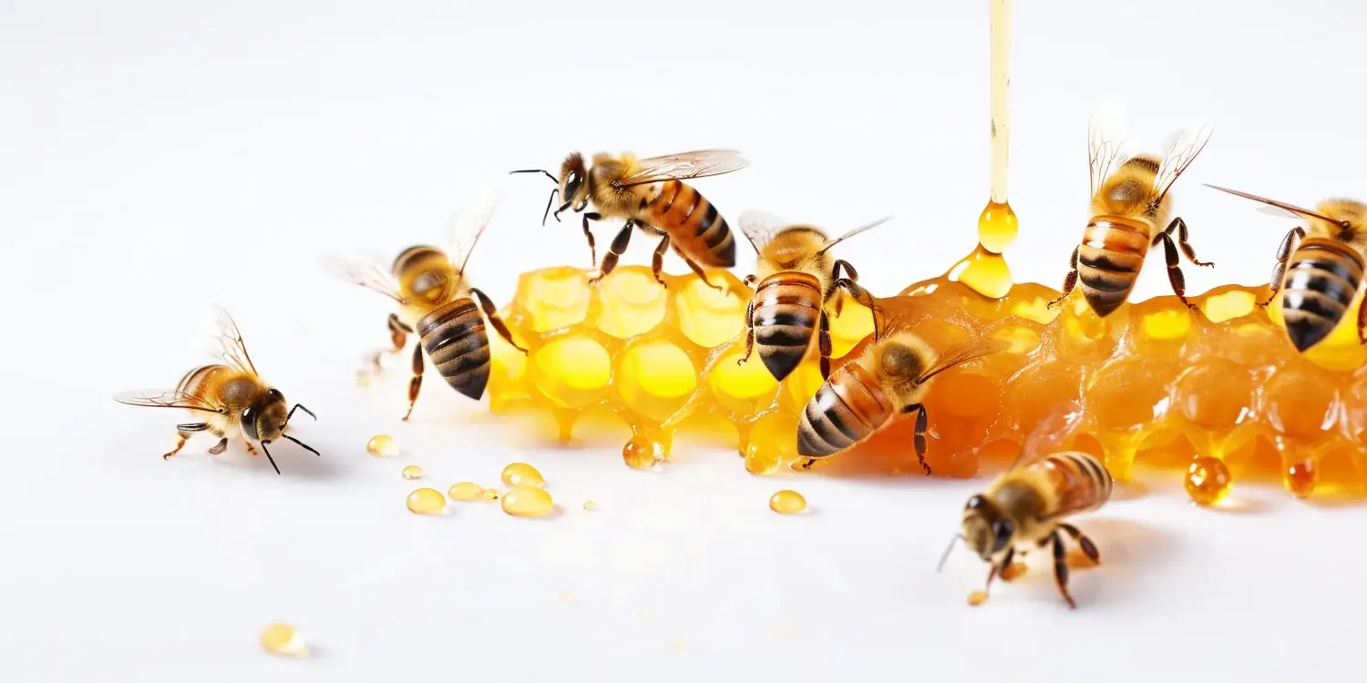 Miód wrzosowy to skarbnica smaku