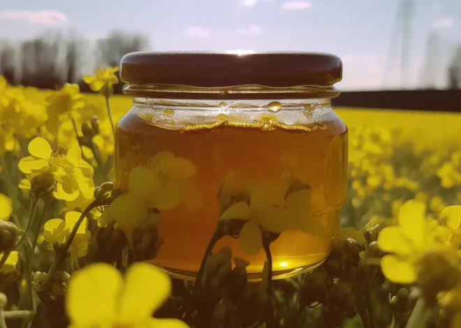 Miód akacjowy – słodki skarb natury