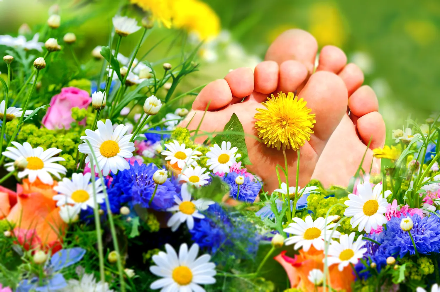 Podologia – zdrowe i ładne stopy